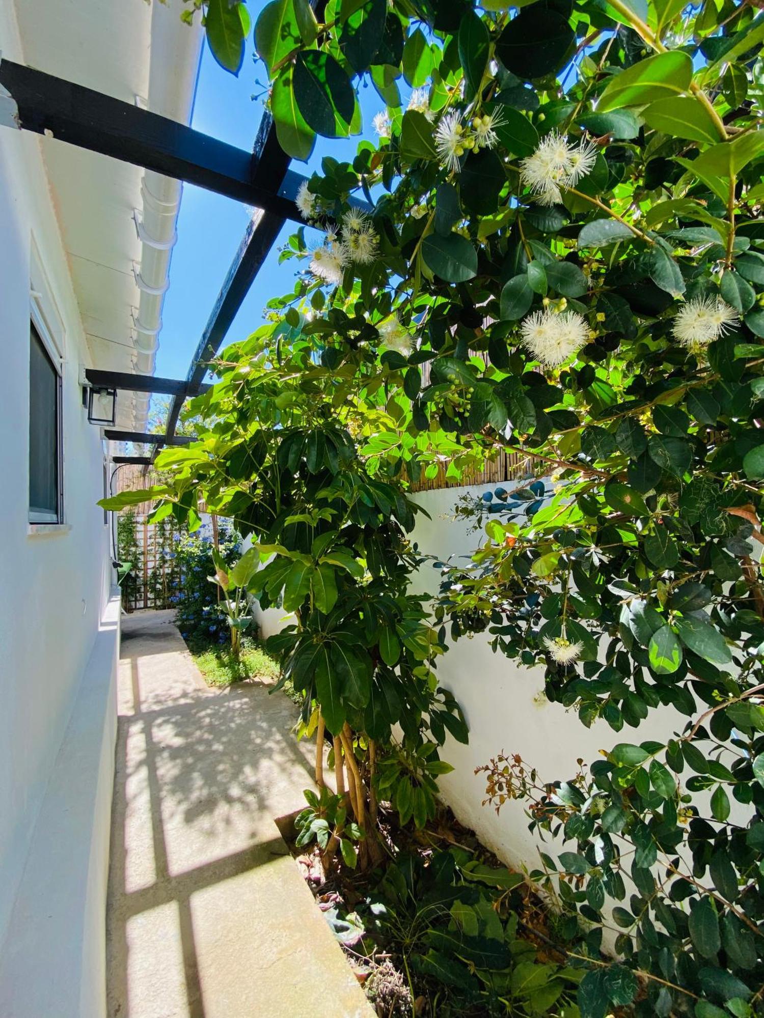 Gem Of Viso Vila Setúbal Exterior foto